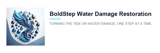 Logo from boldstepwaterdamagerestoration.com BoldStep Water Damage Restoration logo