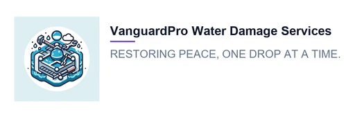 Logo from vanguardprowaterdamageservices.com VanguardPro Water Damage Services logo